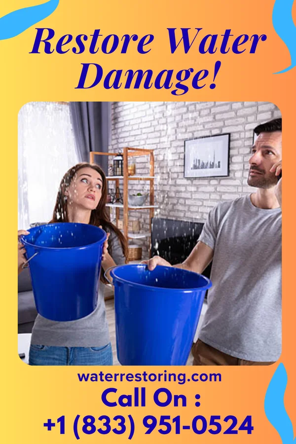 water restoration Advanced Water Solutions Company La France